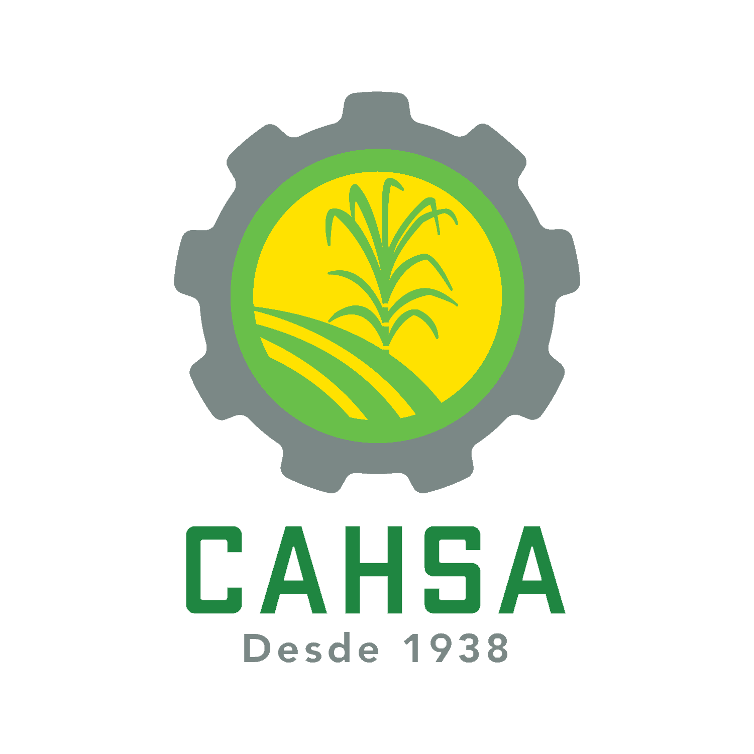 CAHSA