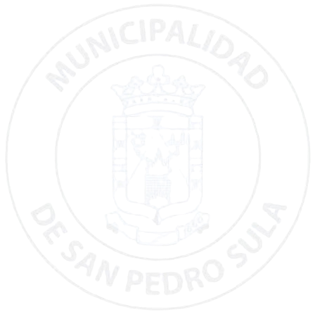 Municipalidad SPS